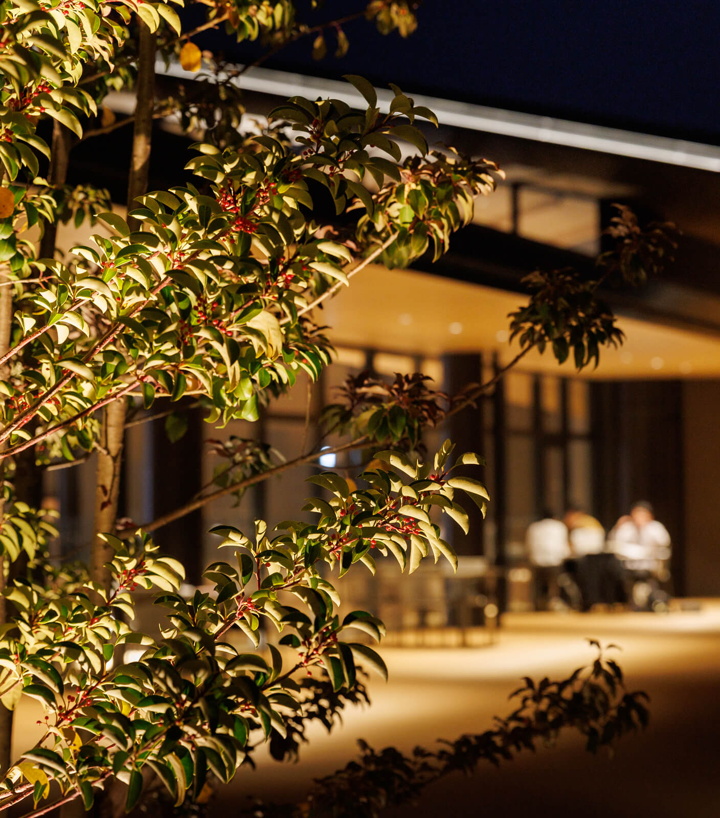 灯りがともる家のイメージ